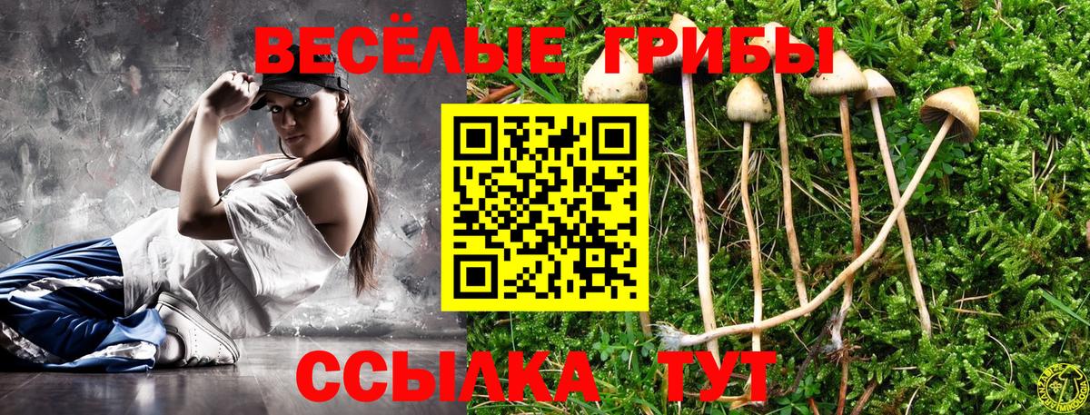Галлюциногенные грибы GOLDEN TEACHER Сатка